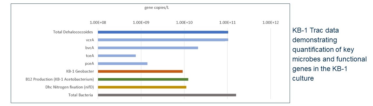 dPCR-Images KB-1 Trac data demonstrating quantification of key microbes and functional genes in the KB-1 culture