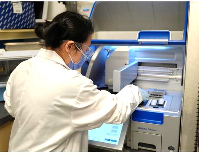 Gene-Trac DNA Extraction SiREM worker extracting DNA in the lab.